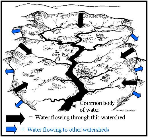 watershed diagram worksheet